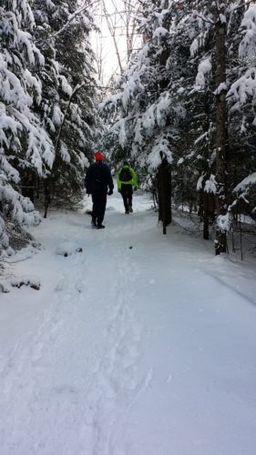 Winter Wonderland Trail
